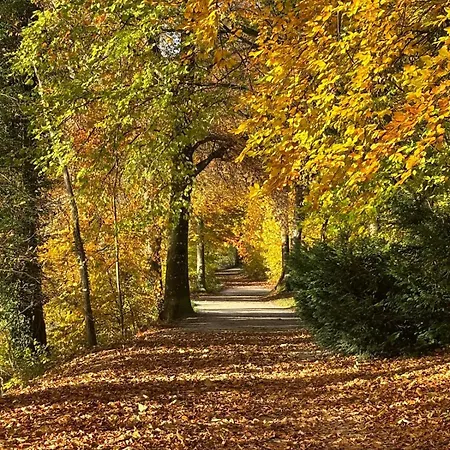 Soleils Living I & Berge I Starnberger * Berg am Starnberger See